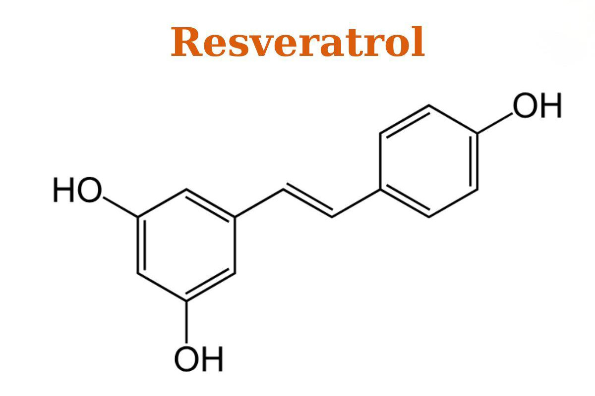 Ресвератрол