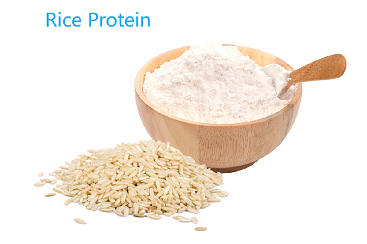 Prot&eacute;ine de Riz