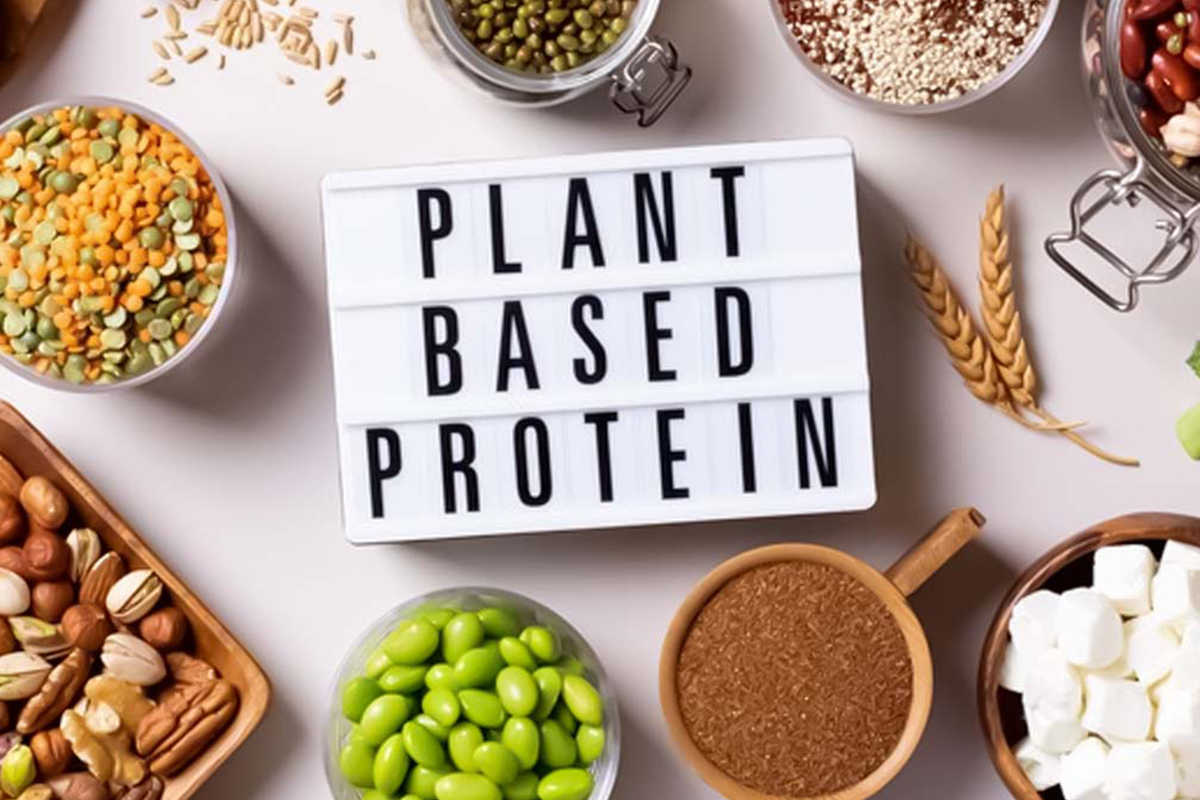Proteínas vegetales
