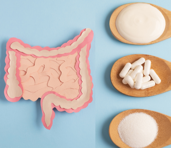 Akkermansia Muciniphila